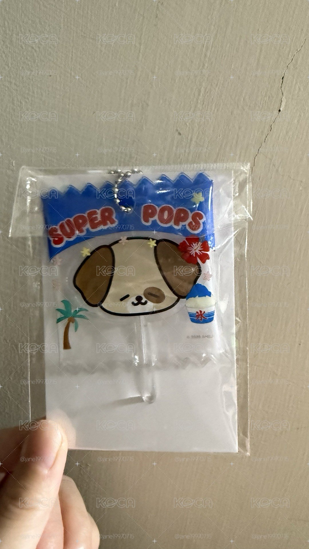 東海 SJ MARKET 日本 鑰匙圈吊飾+ 20週年展覽 隨機卡