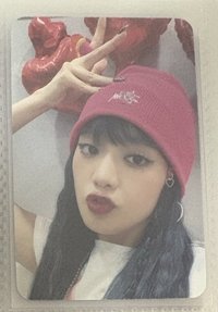 女王妮