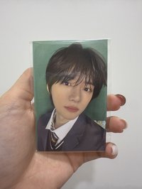 圭