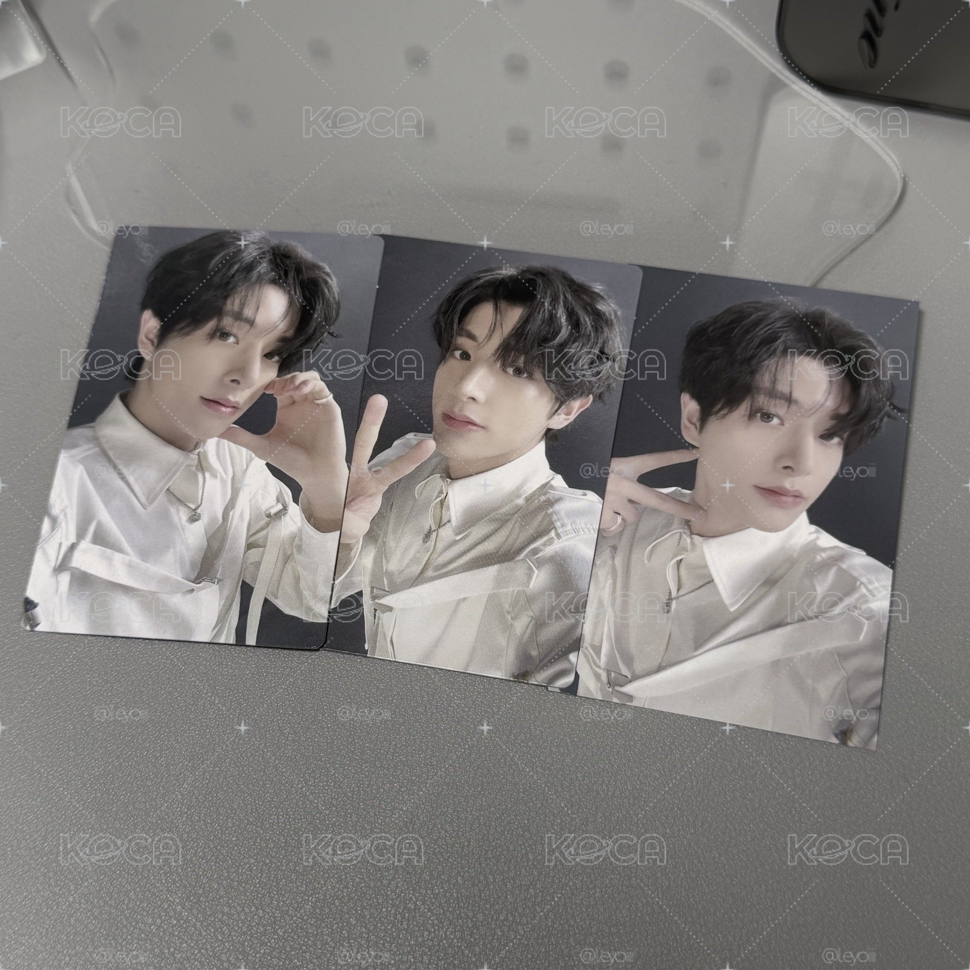 漂亮小狗一次擁有2.0🐶
