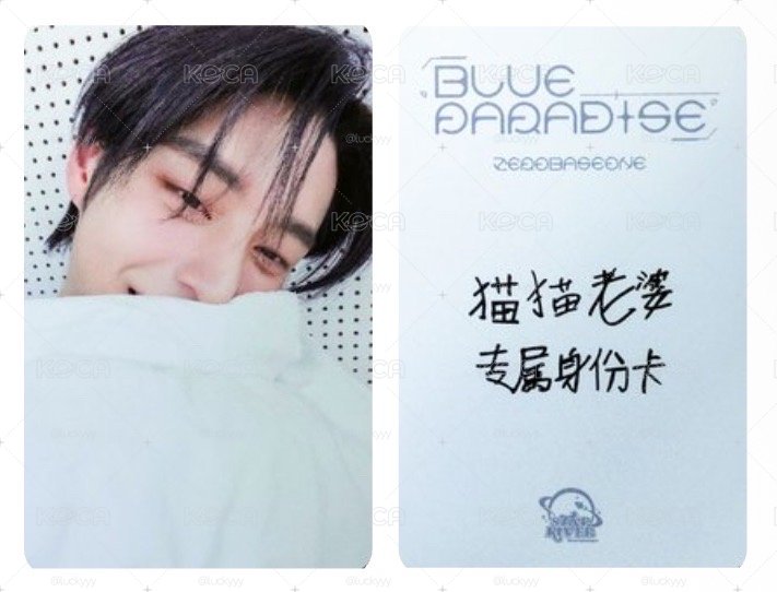 貓貓老婆專屬身份卡