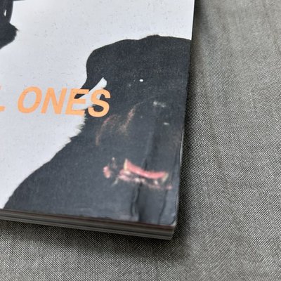 I-D 雜誌 