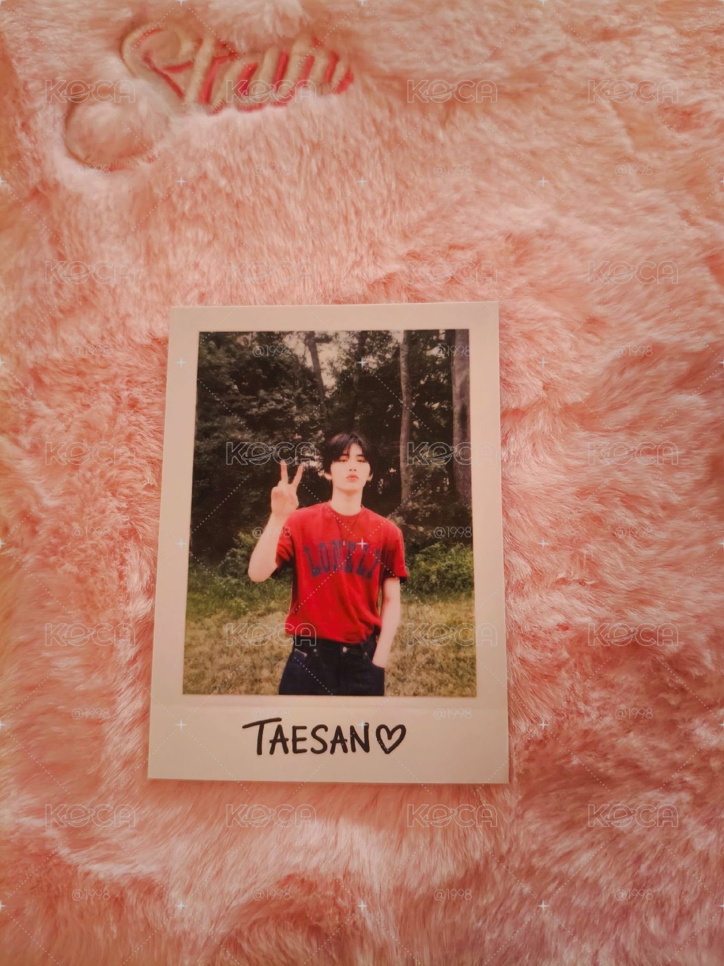 TAESAN芝加哥回憶錄拍立得📷
