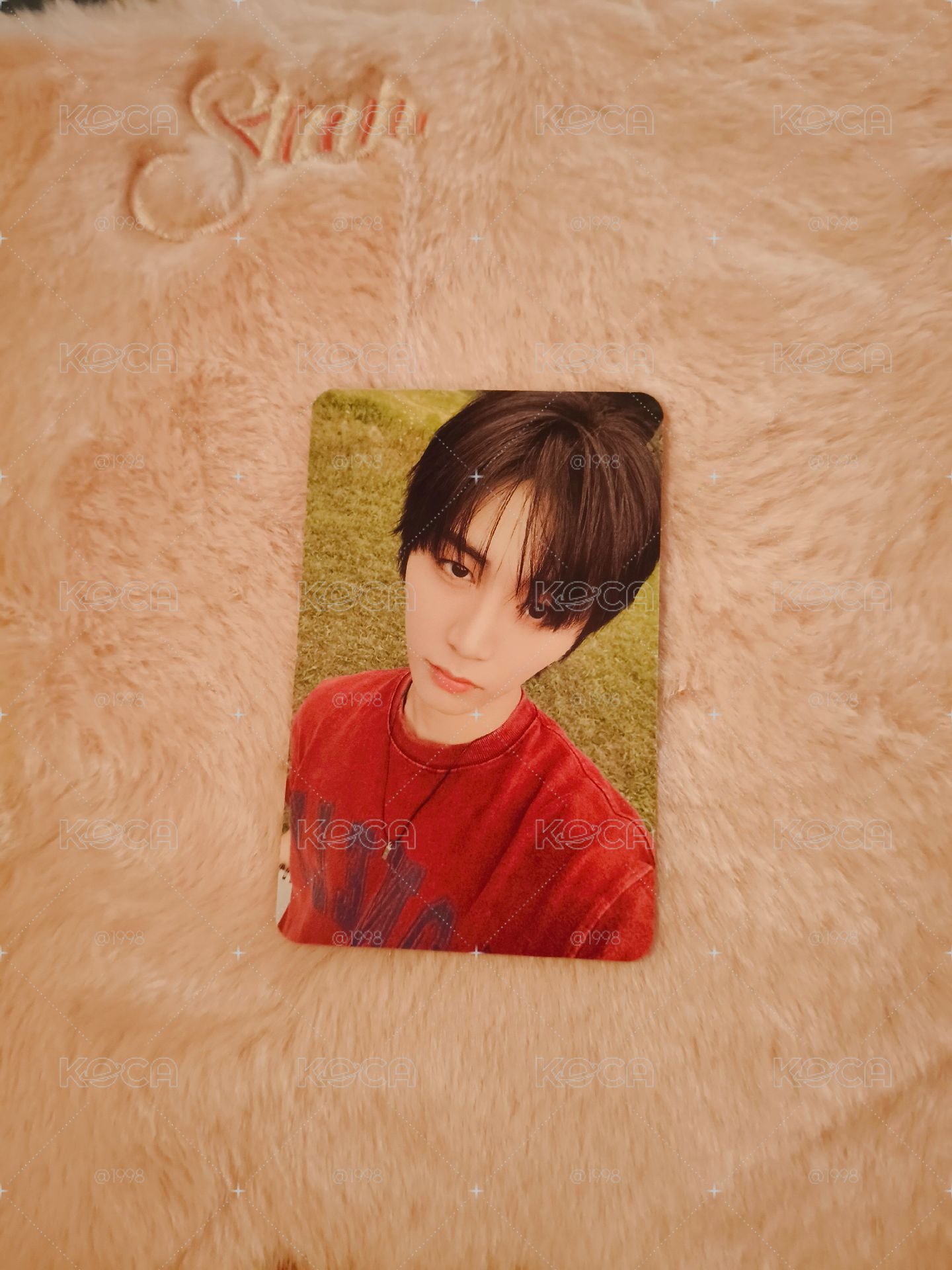 泰山芝加哥回憶錄小卡💌
