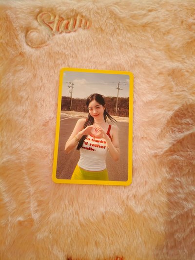 TWICE卡包 多賢小卡💗
