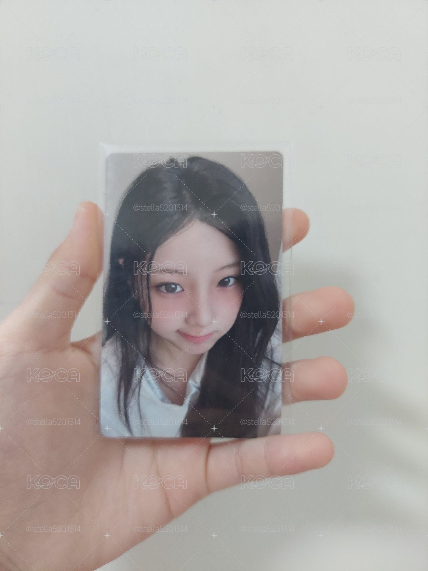 wvs幸運禧