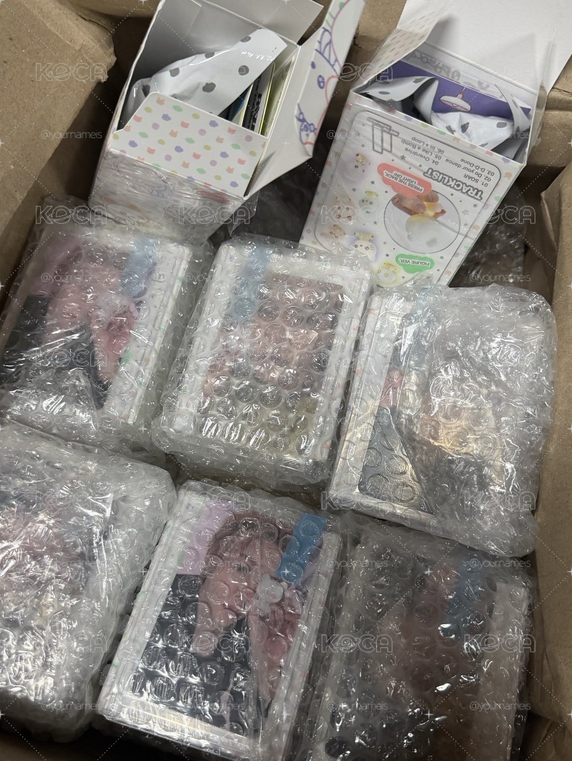 恩娃+彬卡