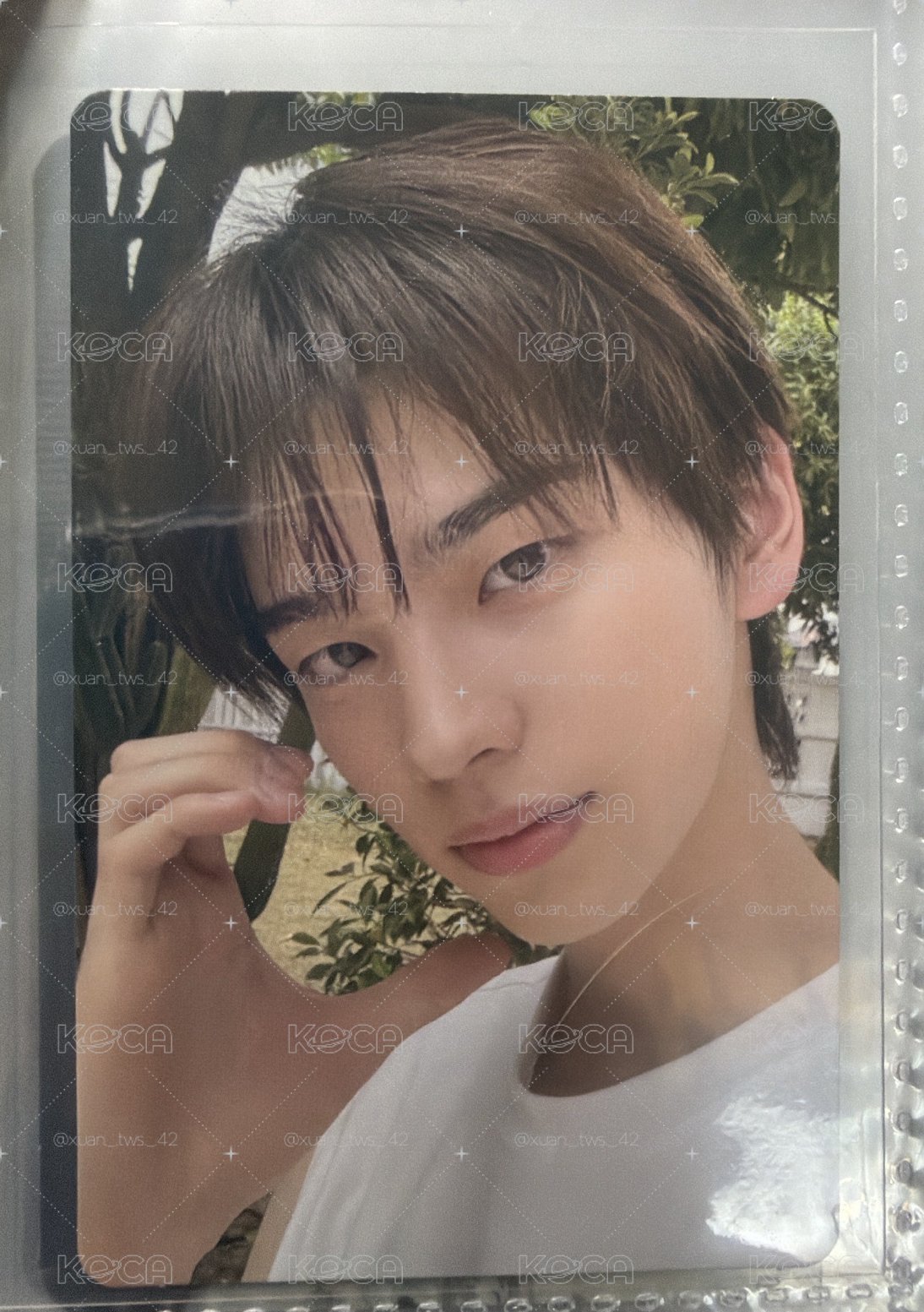 迷二 專輯卡 NOW ver.