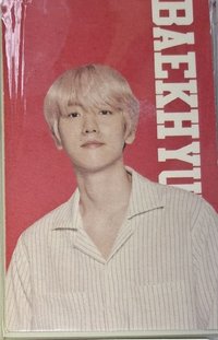 自然樂園 唇膏 代言卡 