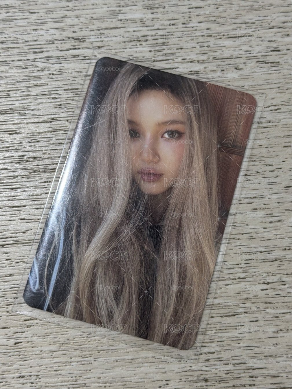美美丹