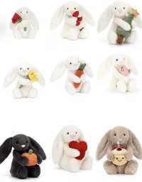抱物 Bunny