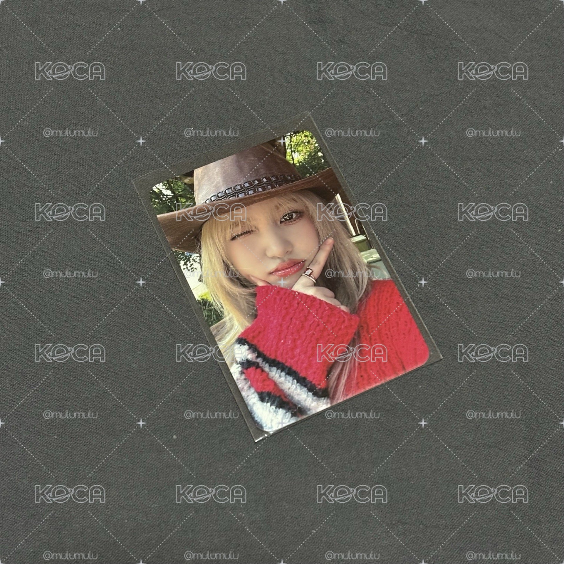 LIZ 台灣簽售卡