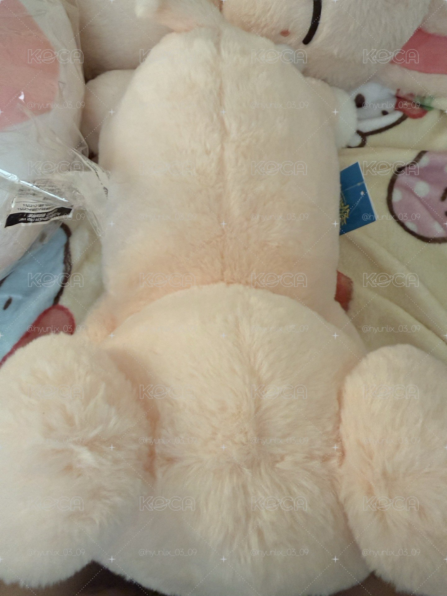 帕皮趴趴娃