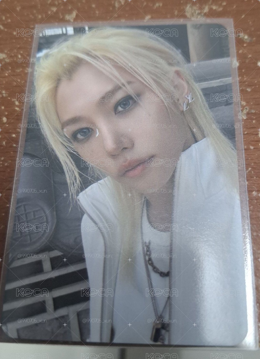 菲小盤🐥