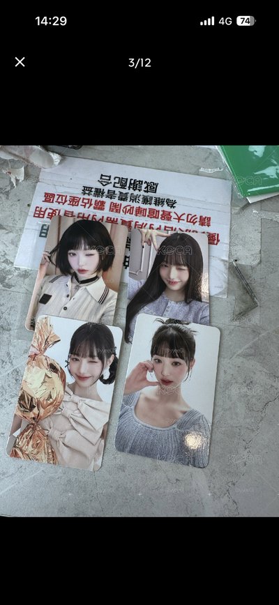 📍IVE WAVE 專輯 日本會員限定盤 單封 DIVE ver.+張員瑛代言卡不拆售