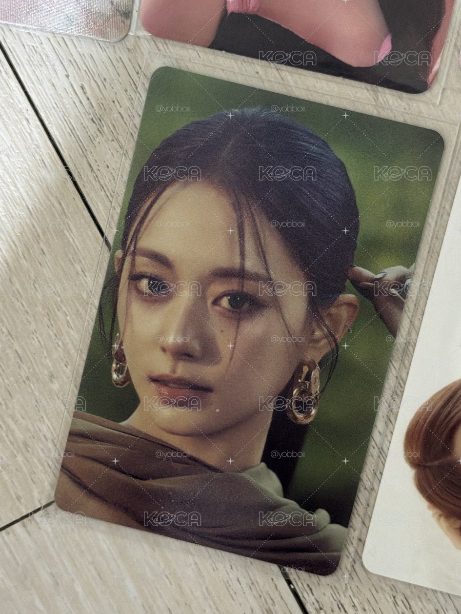 美美🐟