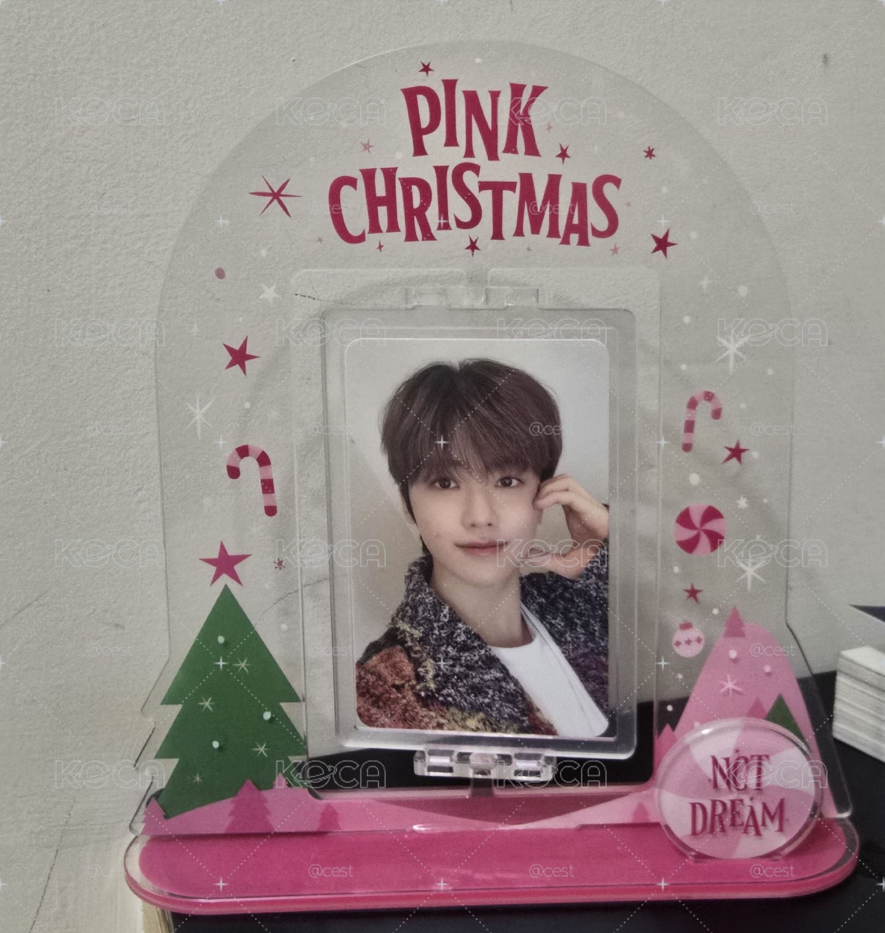 JAEMIN 渽民 2023 PINK XMAS 立牌