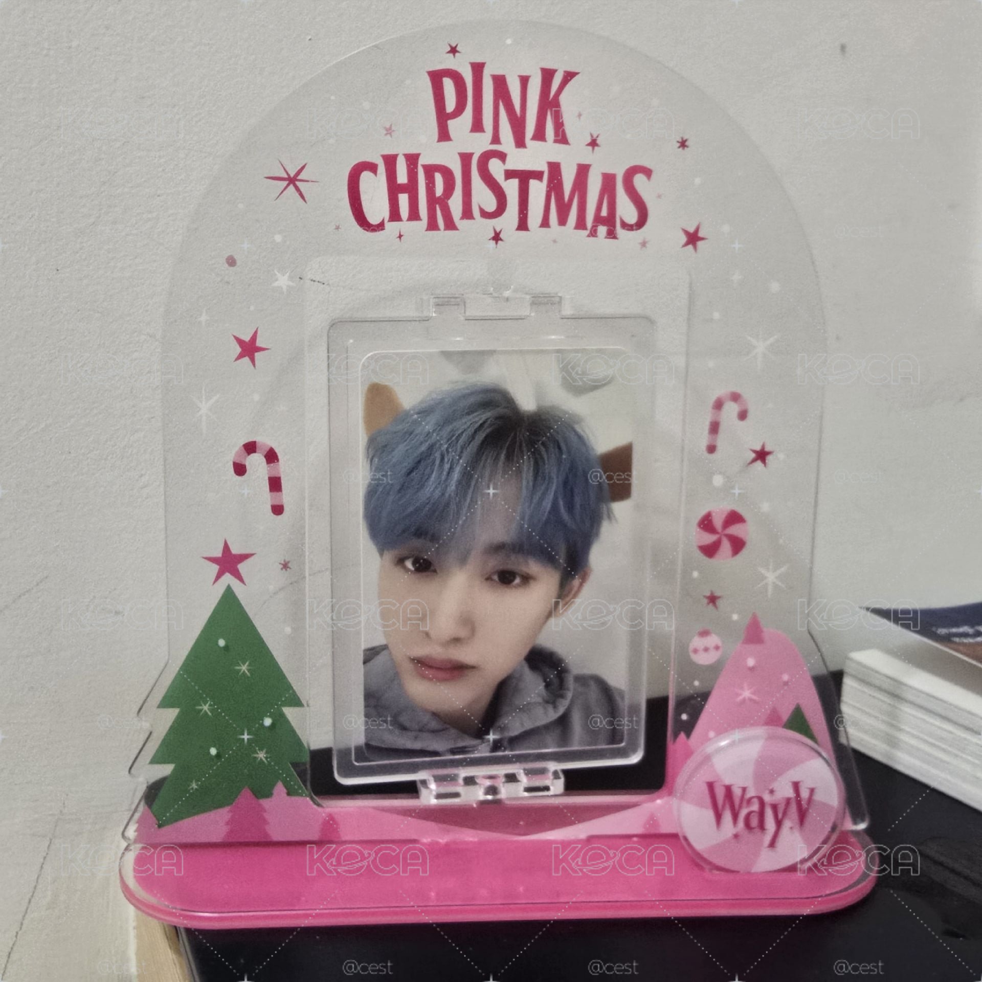 WINWIN 董思成 Sm pink xmas 立牌
