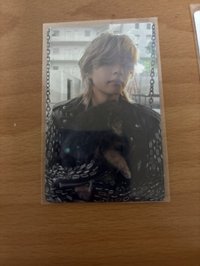 狗狗看鏡頭