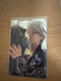 狗狗互看