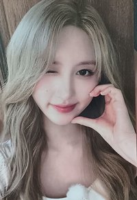 ¹四星秋