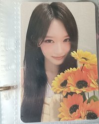 ¹二星瑞