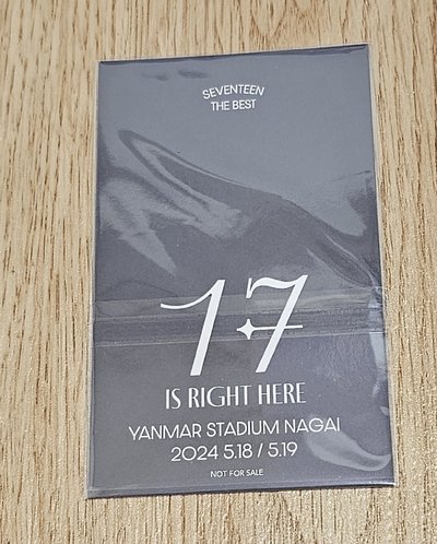 SEVENTEEN KR精選專：17 IS RIGHT HERE WOOZI