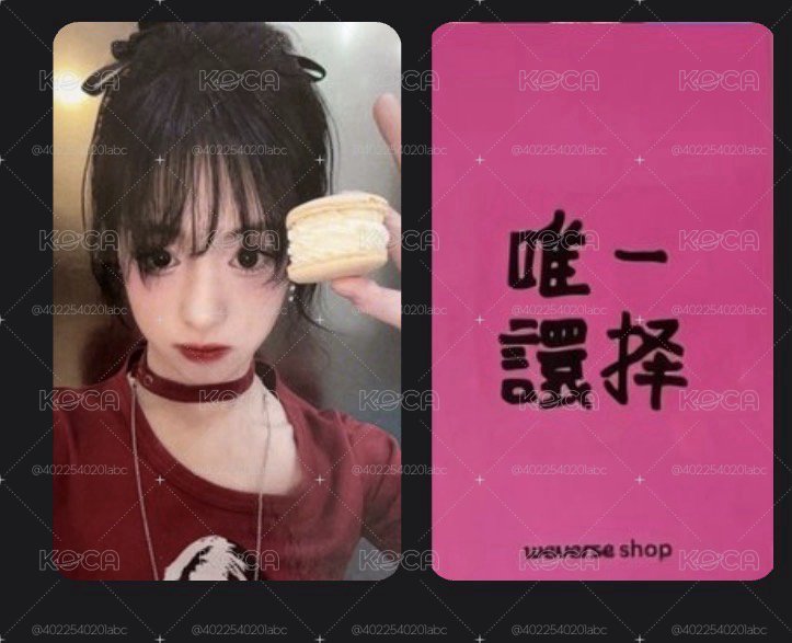 馬卡龍中背賢 小盤 起標價1400