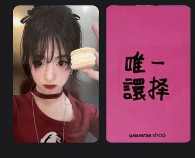 馬卡龍中背賢 小盤 起標價1400