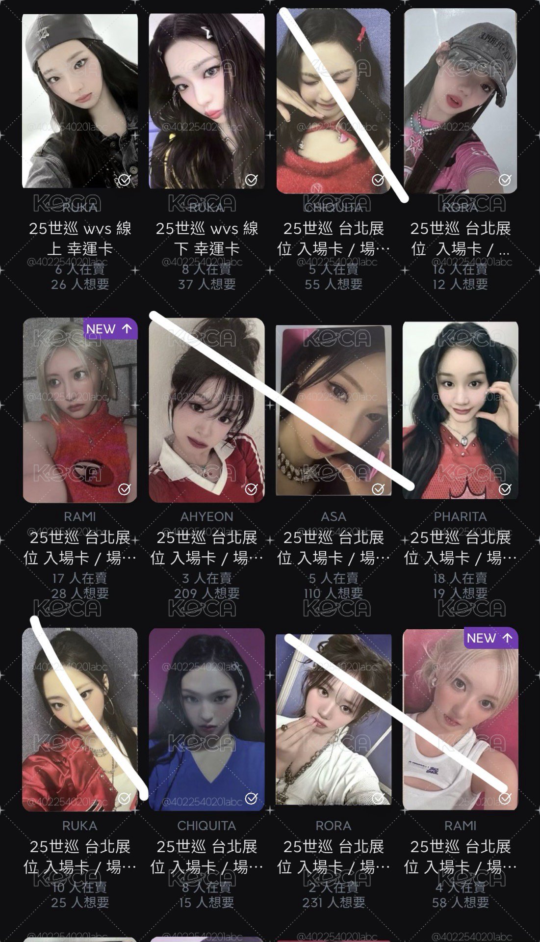 馬卡龍中背賢 小盤 起標價1400
