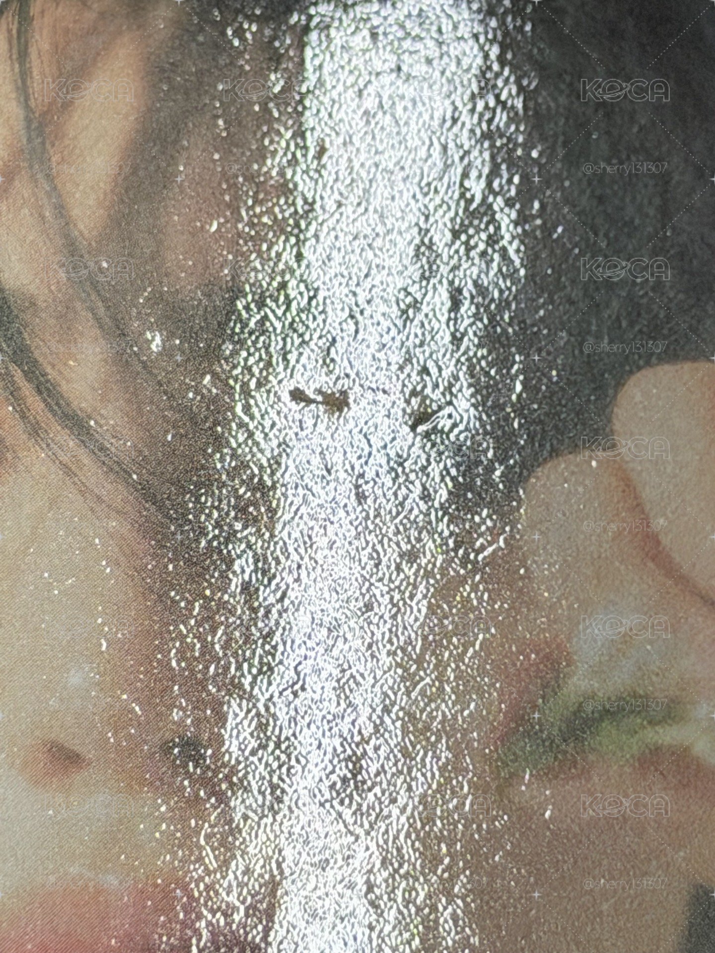 二張專卡+一張wvs特典+特典鏡子