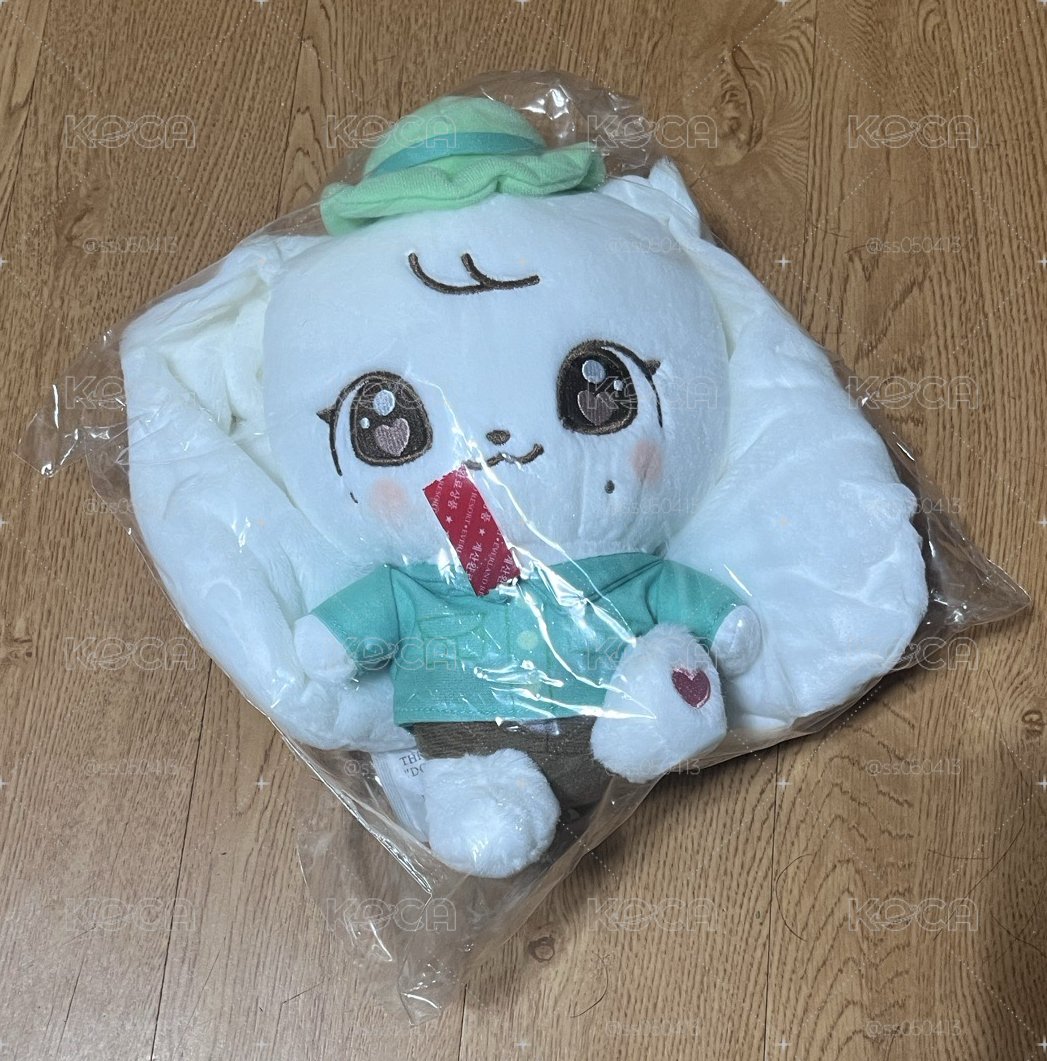 員瑛 愛寶樂園 大娃