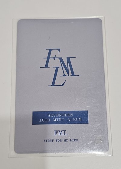 SEVENTEEN MINI10:FML WOOZI 