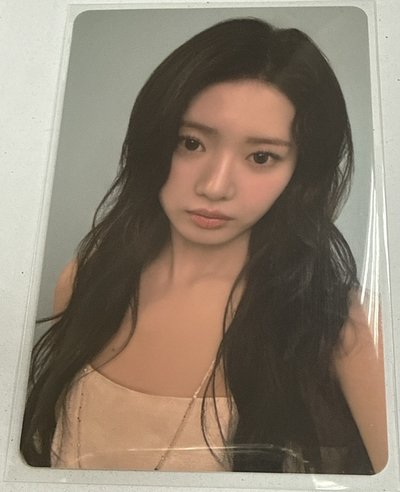茶