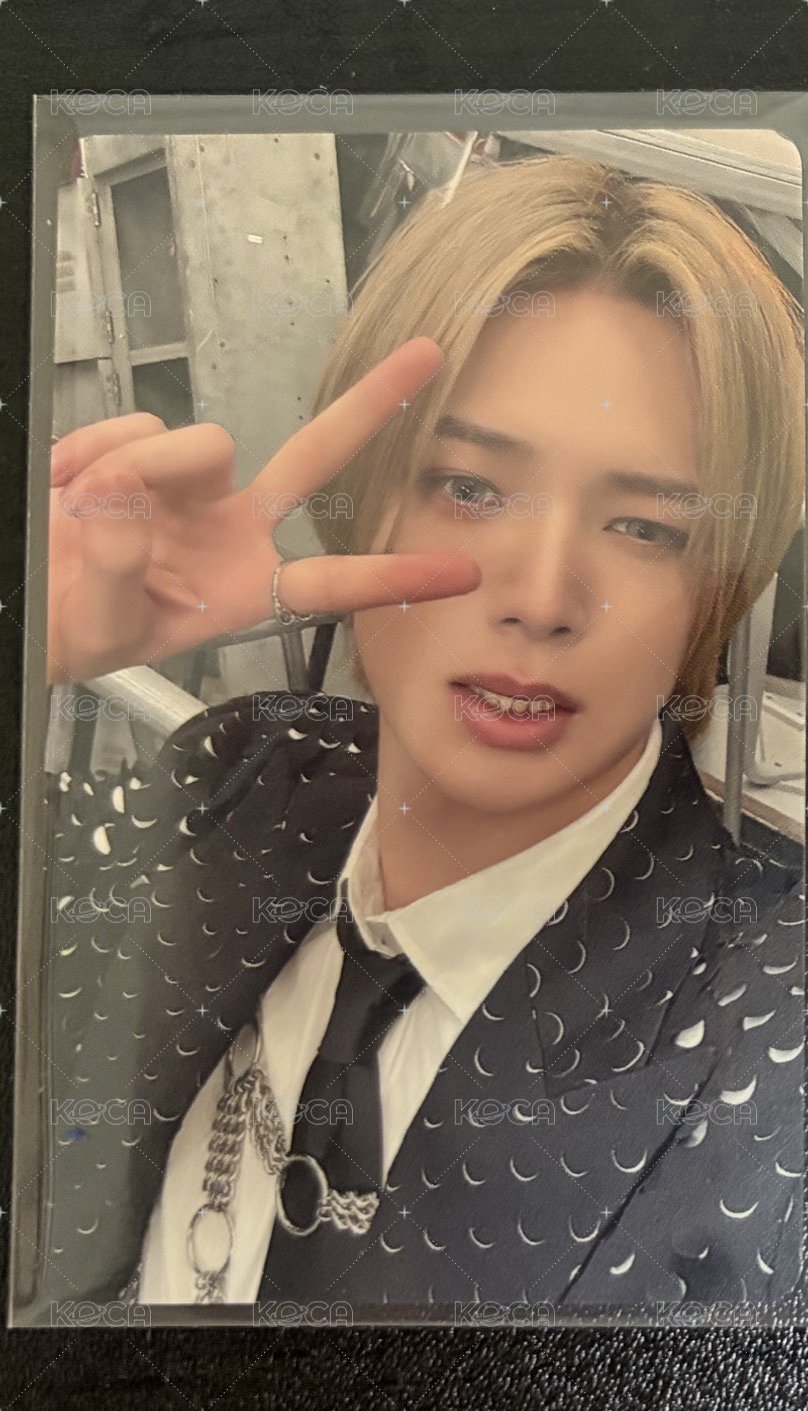 月狼耶✌️