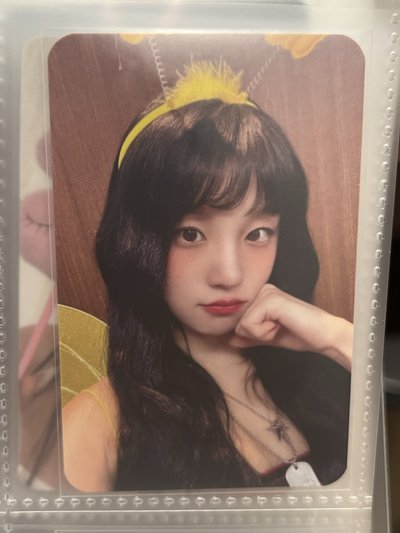 雨琦小卡 蜜蜂琦