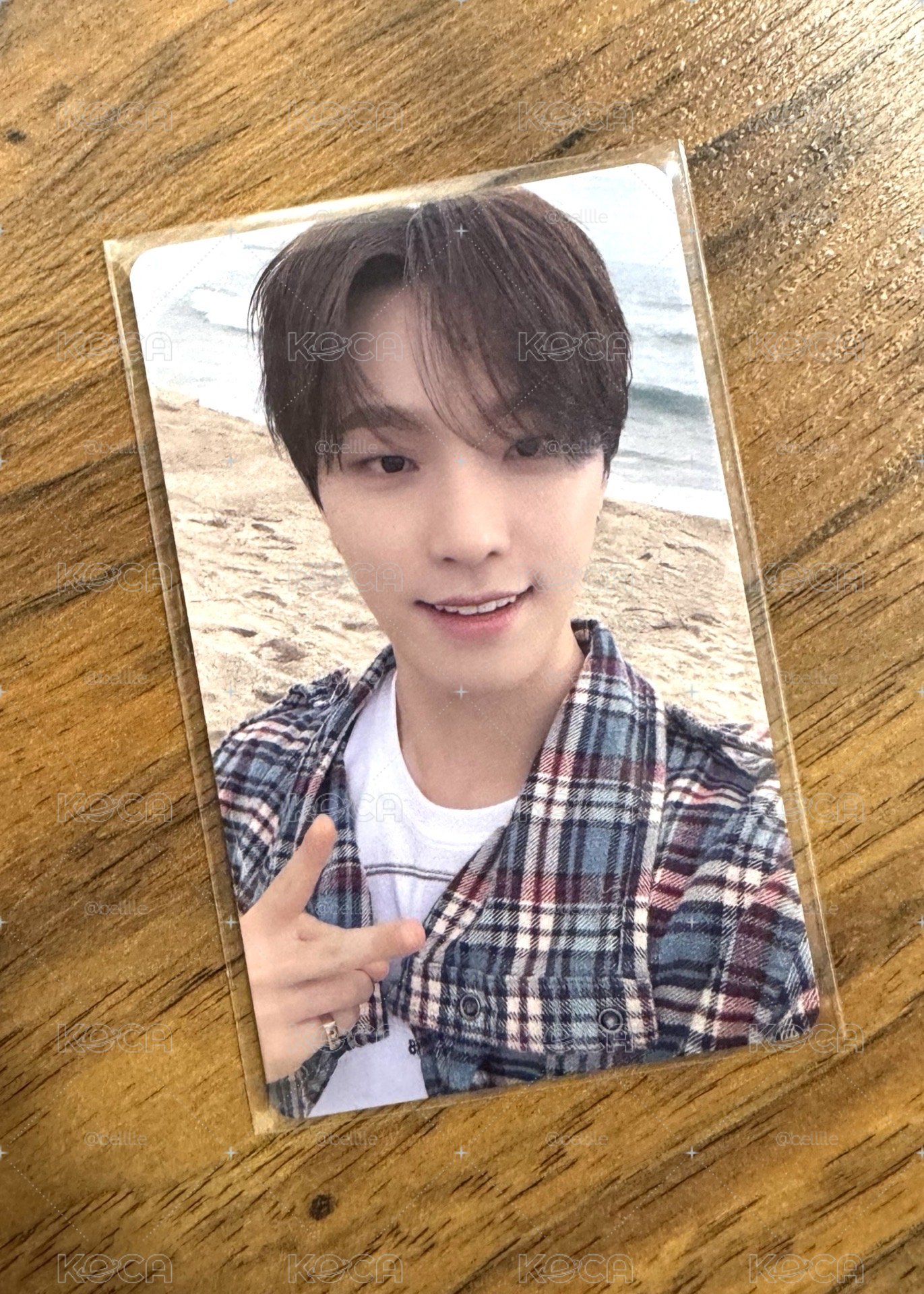 Seventeen Dino🦦ㅣ消費期限 日咖 場限卡