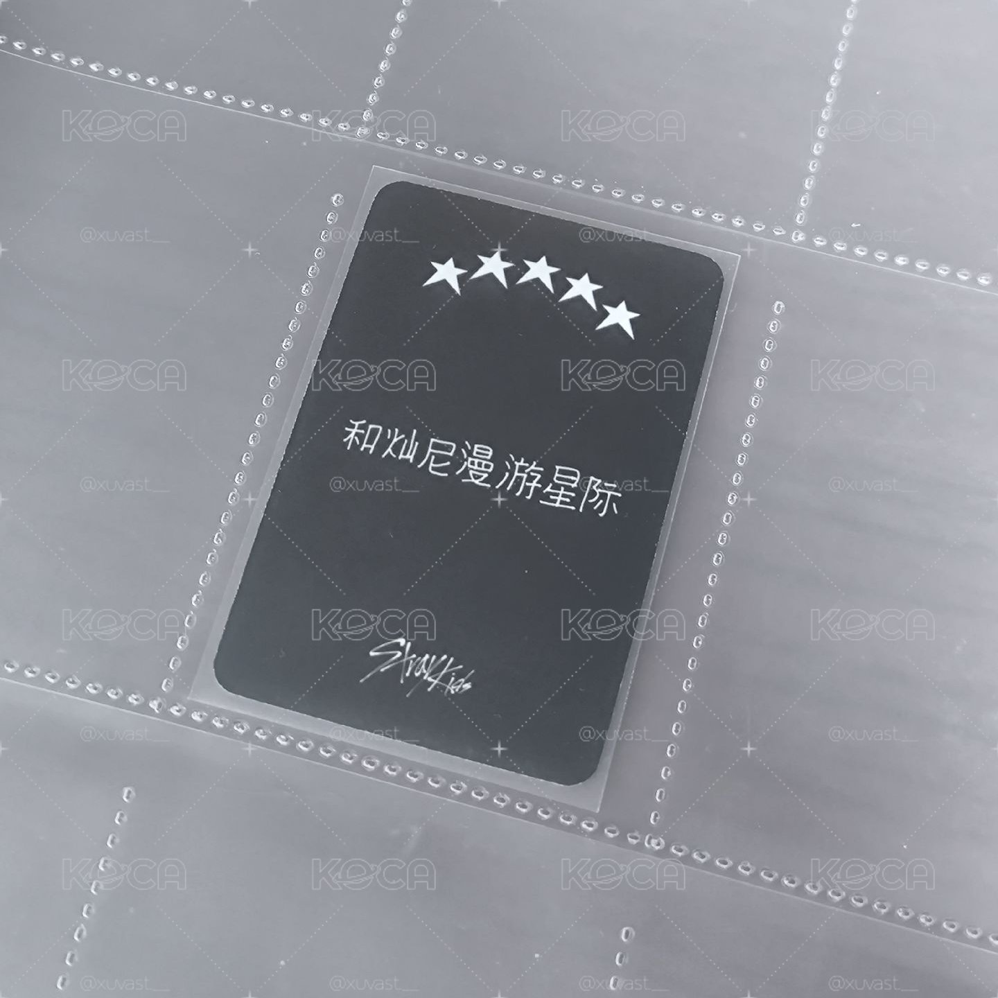 5-star 燦中背