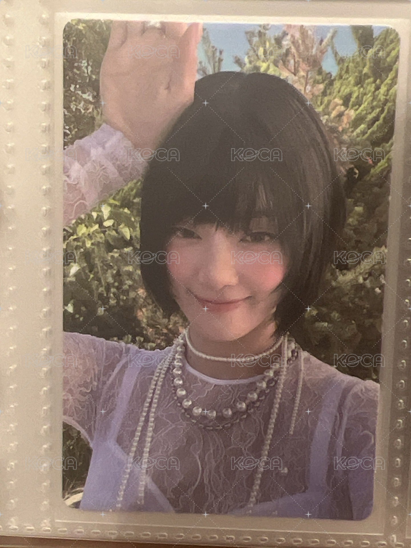 專卡6