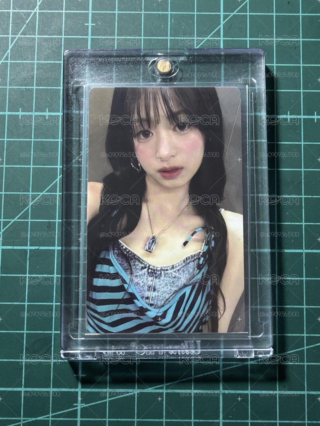 展位賢