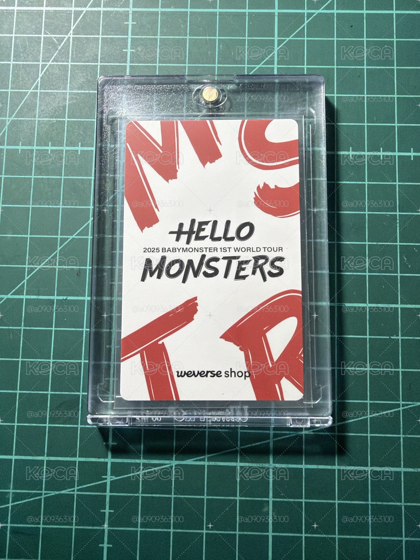 展位賢