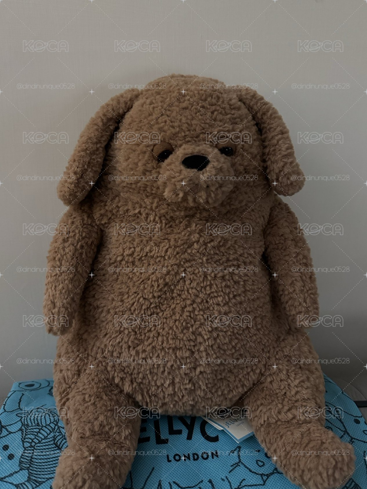 Amore dog慵懶狗狗