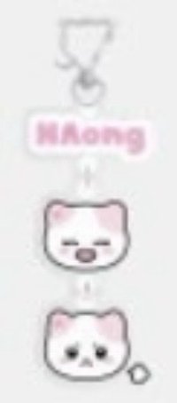 三巡 TWINZY 吊飾 NAong