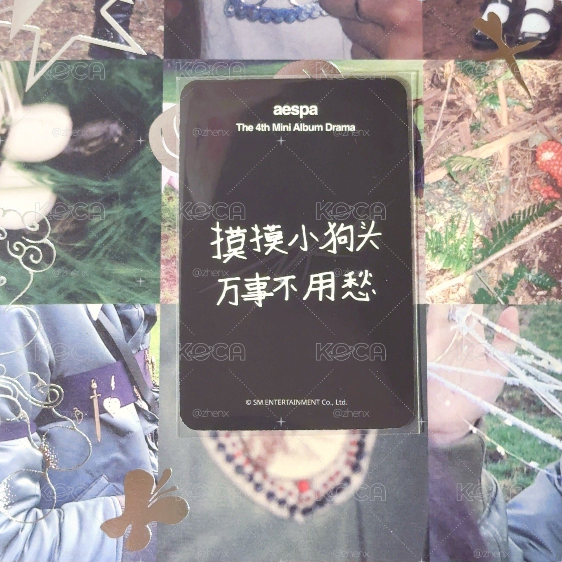 【中文卡背】星河冬（摸摸小狗頭萬事不用愁）