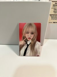 塔店栗