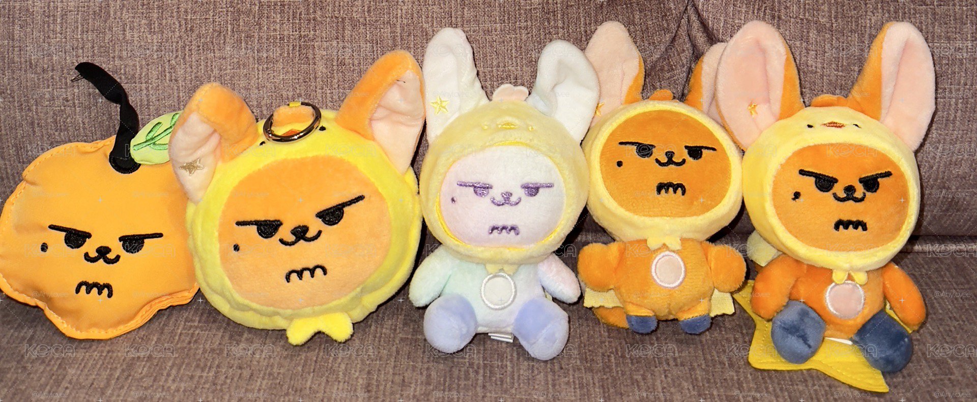 割愛售⋯原皮黃春、彩春、坐娃