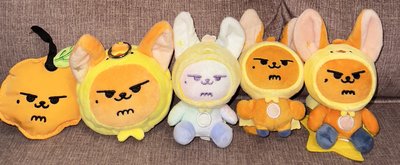 割愛售⋯原皮黃春、彩春、坐娃