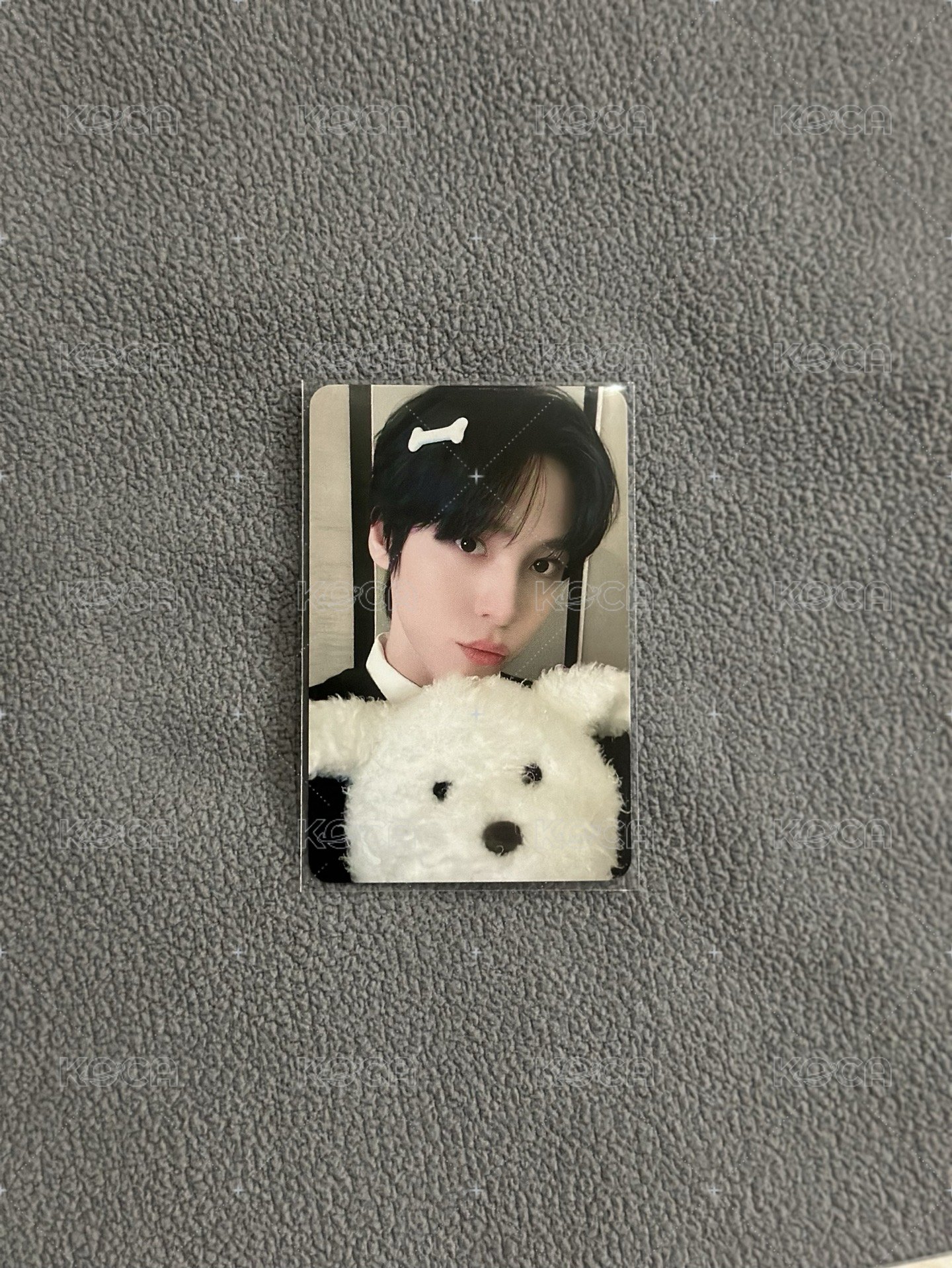 毛茸茸小狗_潤