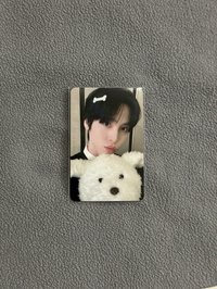 毛茸茸小狗_潤