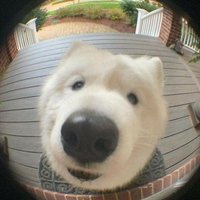 ㅅㅇ